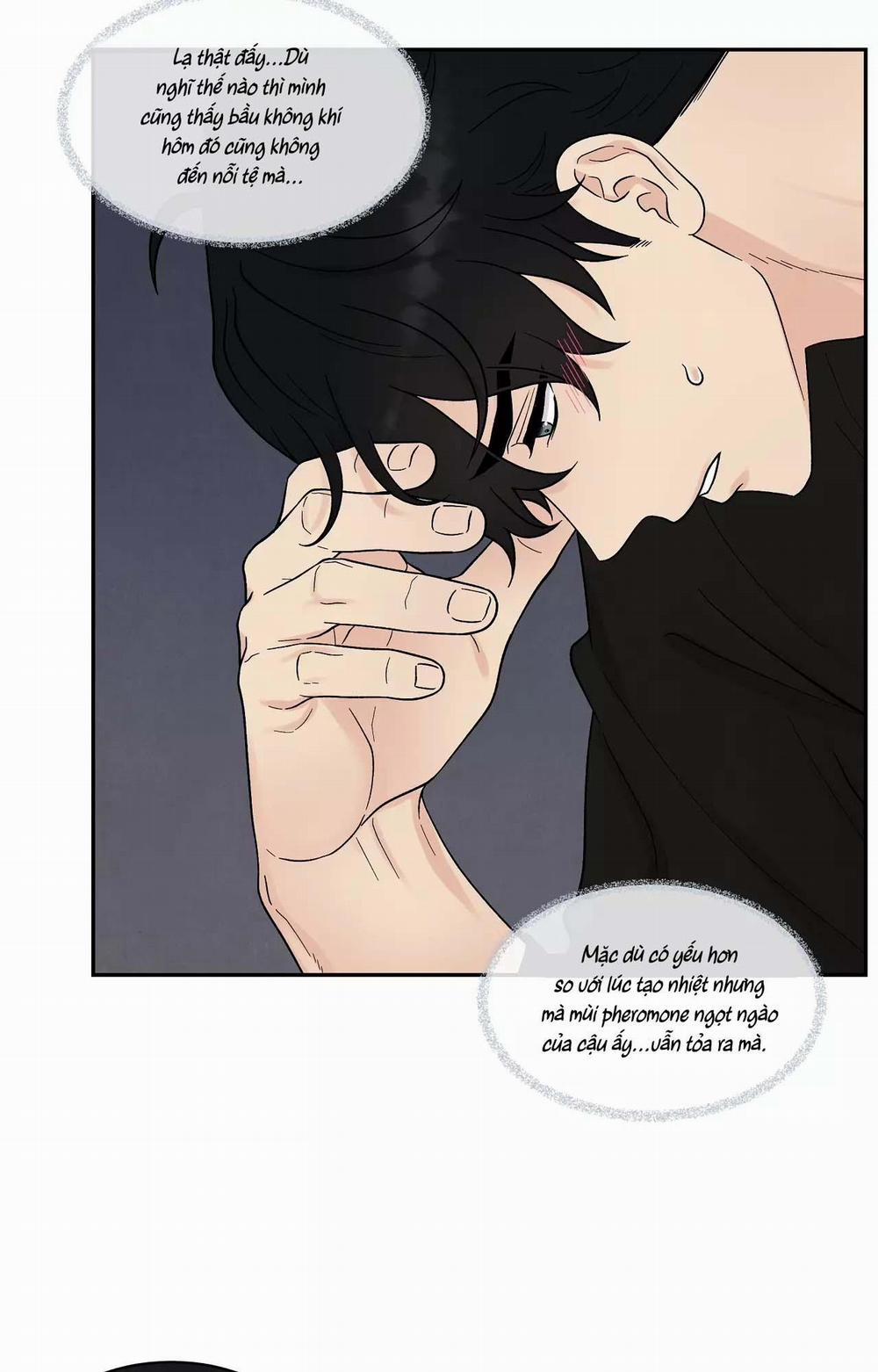 KHÔNG LÀ EM THÌ AI? 15 trang 11