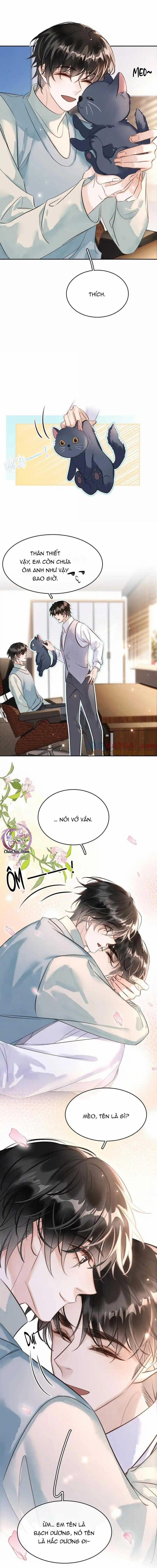 Không Làm Trai Bao! 160 trang 5