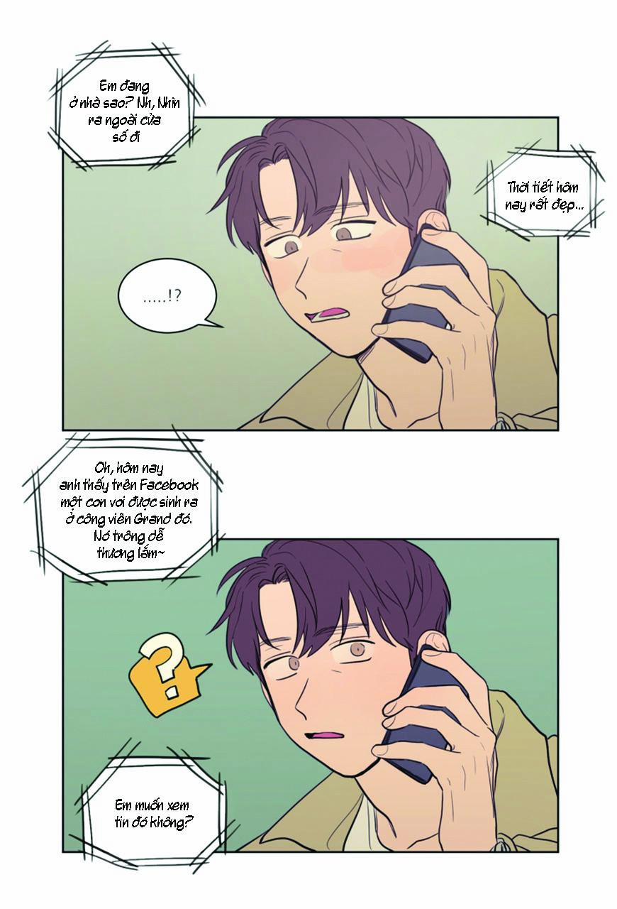 KHÔNG PHẢI SUGAR DADDY 18 trang 9
