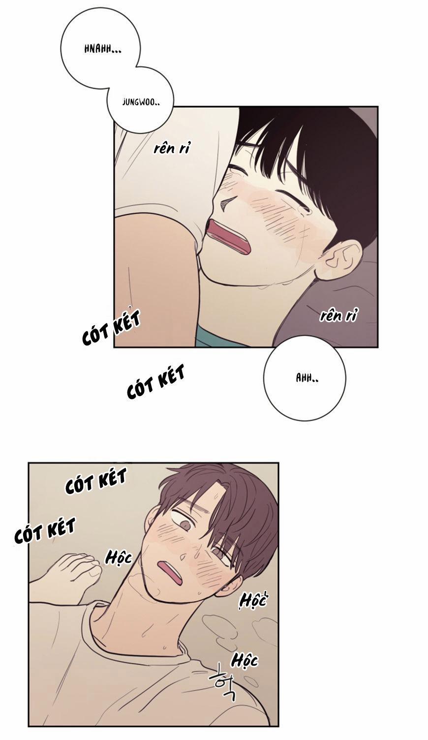 KHÔNG PHẢI SUGAR DADDY 19 trang 5