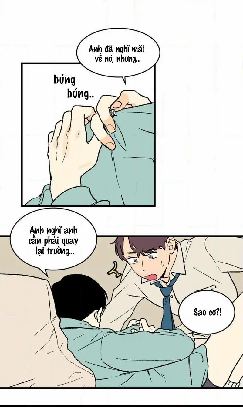 KHÔNG PHẢI SUGAR DADDY 2 trang 11