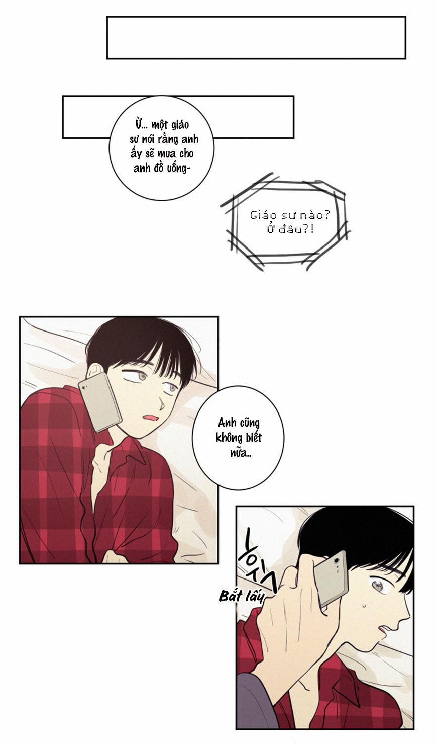 KHÔNG PHẢI SUGAR DADDY 22 trang 11