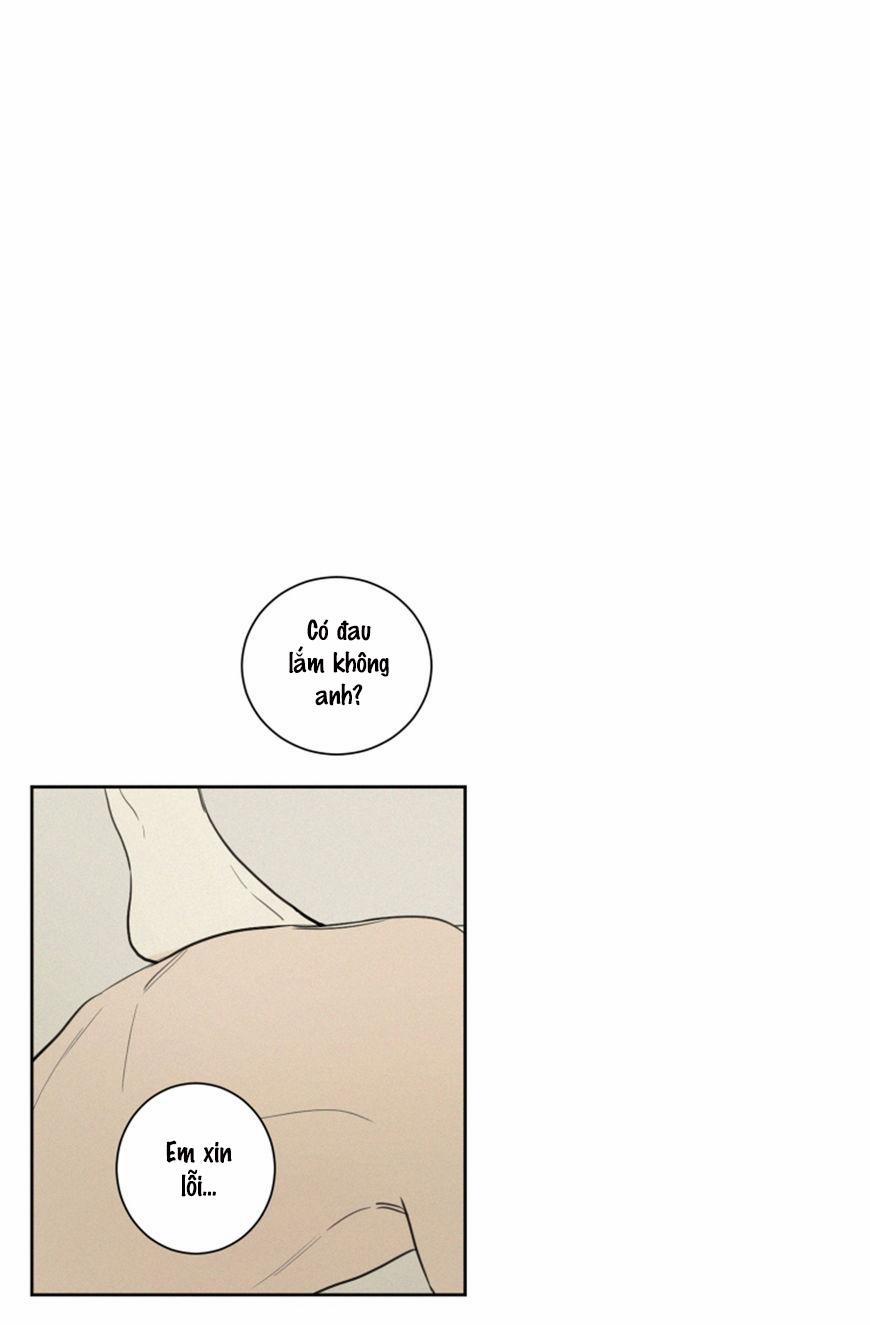 KHÔNG PHẢI SUGAR DADDY 22 trang 3