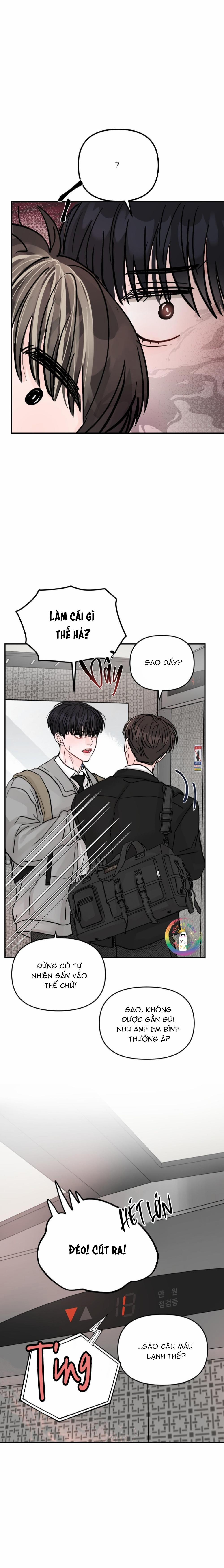 Không Thể Chấm Dứt 8 trang 17