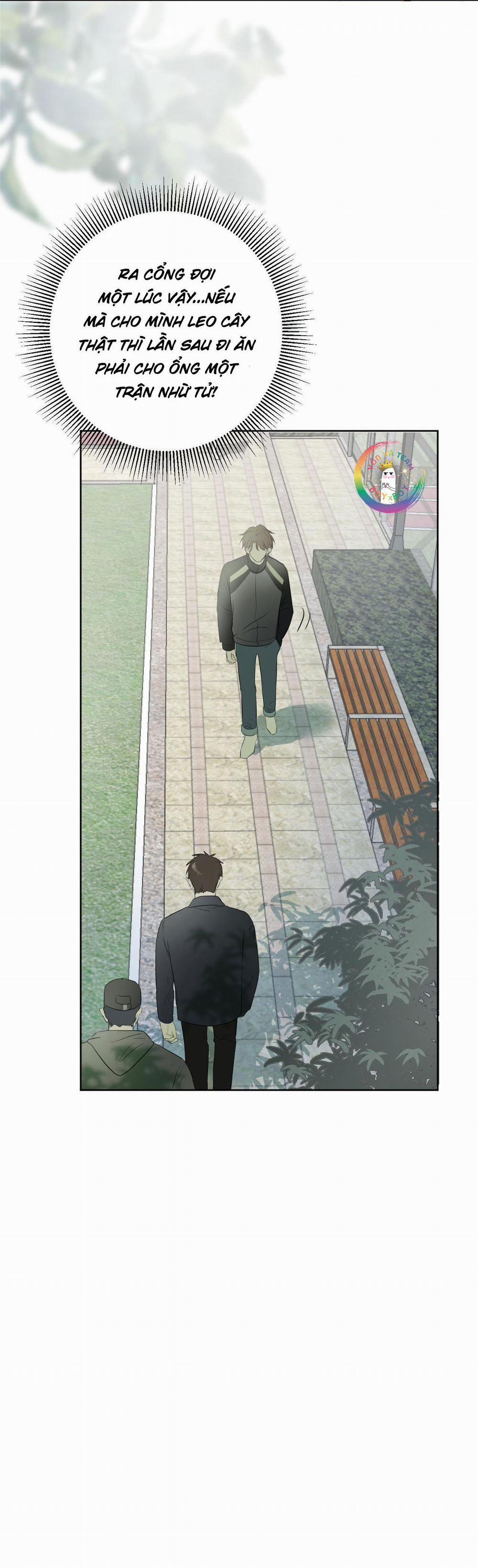 Không Tỳ Vết 1 trang 28