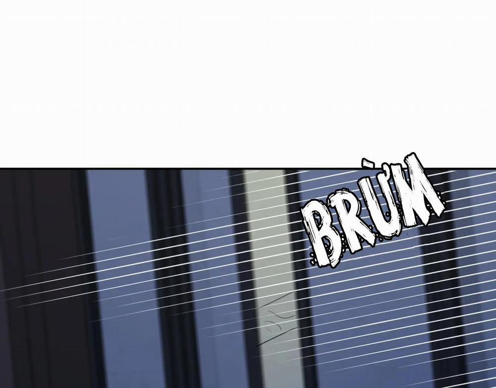 Không Tỳ Vết 20 trang 7