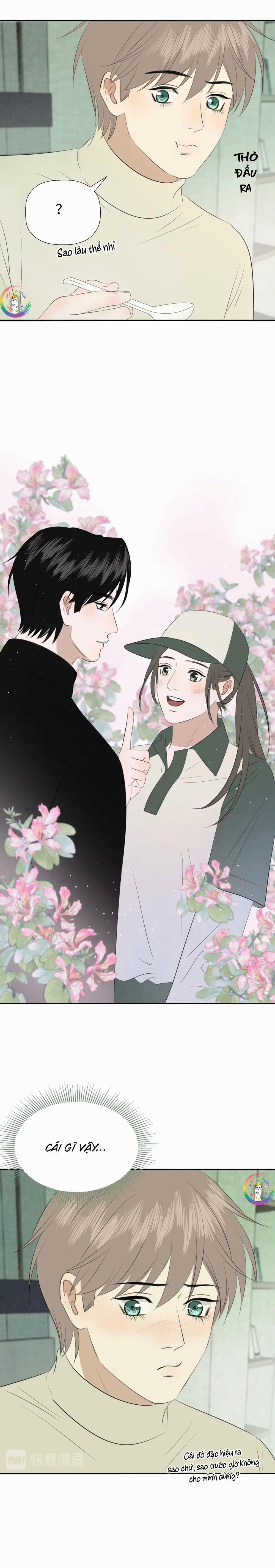 Không Tỳ Vết 21 trang 5