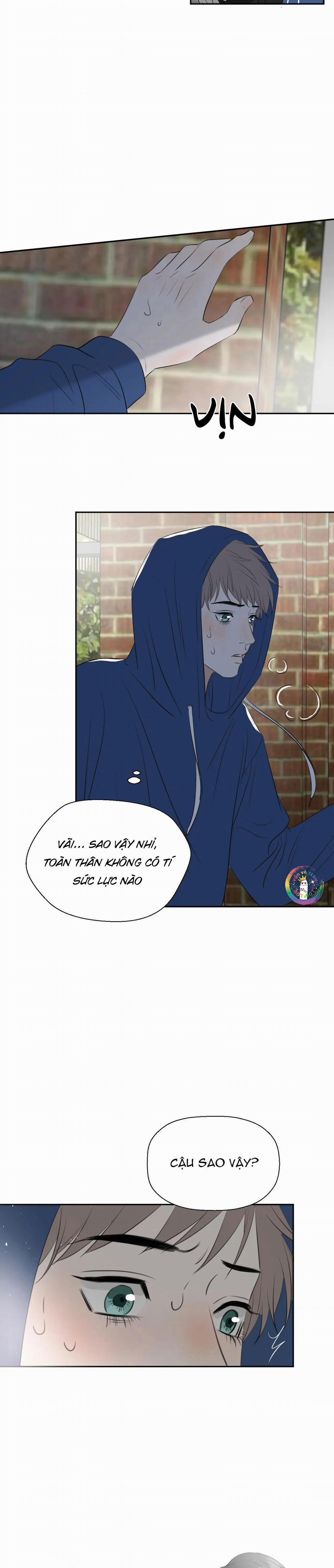 Không Tỳ Vết 22 trang 4