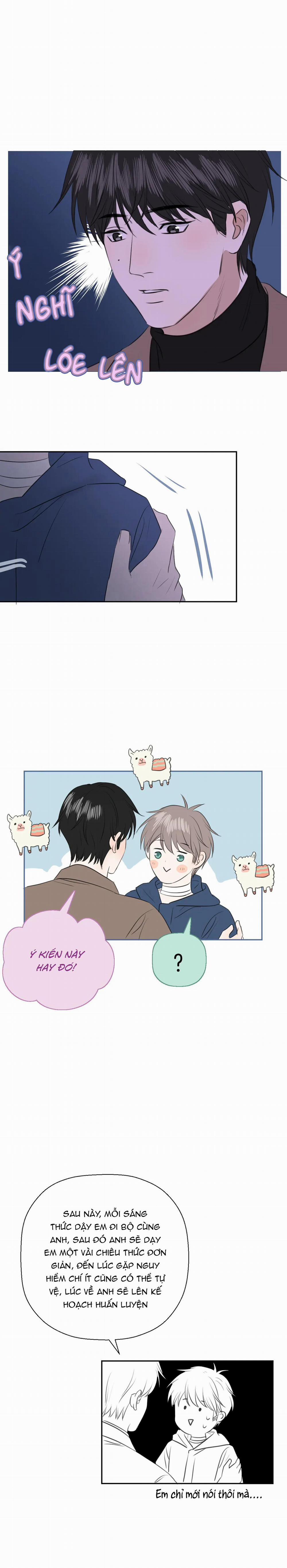 Không Tỳ Vết 24 trang 12