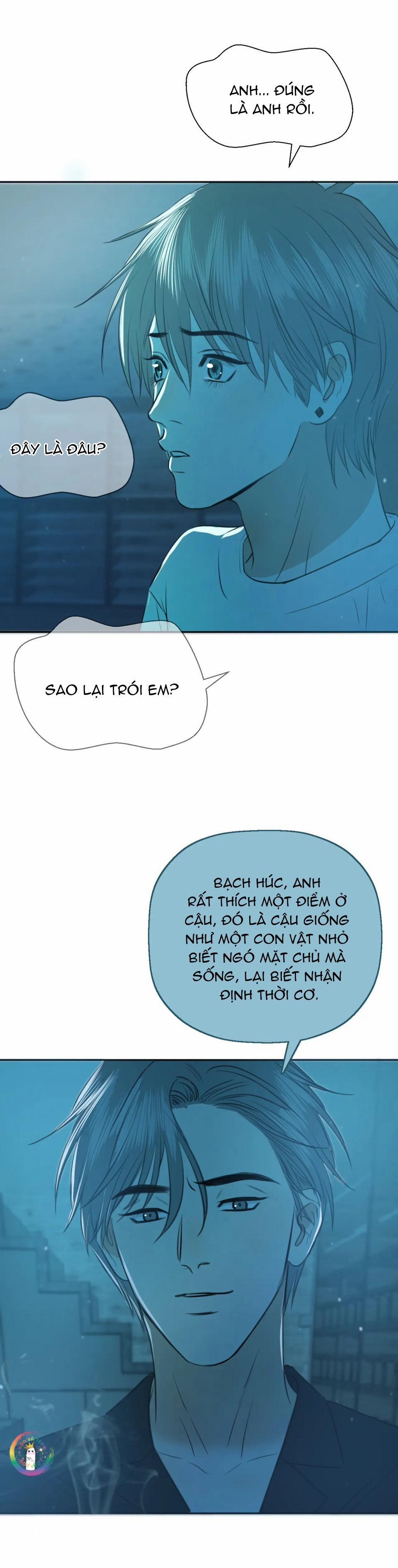 Không Tỳ Vết 28 trang 8