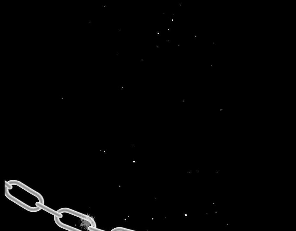 Không Tỳ Vết 29 trang 2