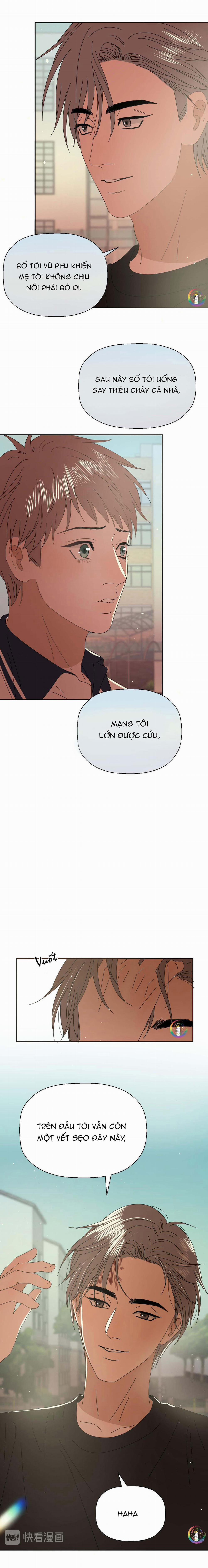 Không Tỳ Vết 31 trang 8