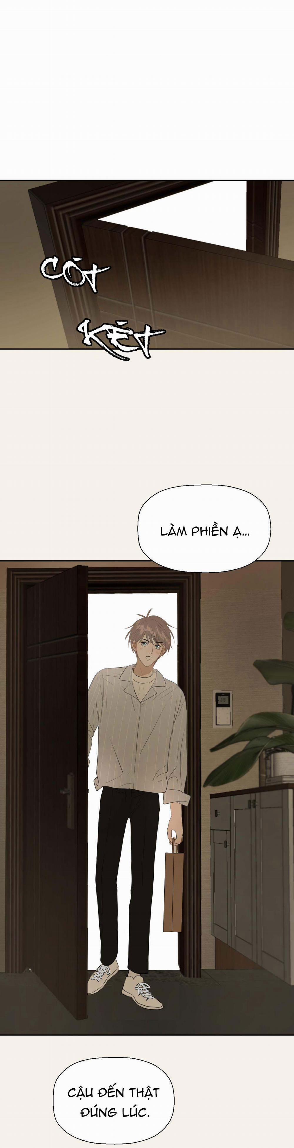 Không Tỳ Vết 4 trang 0