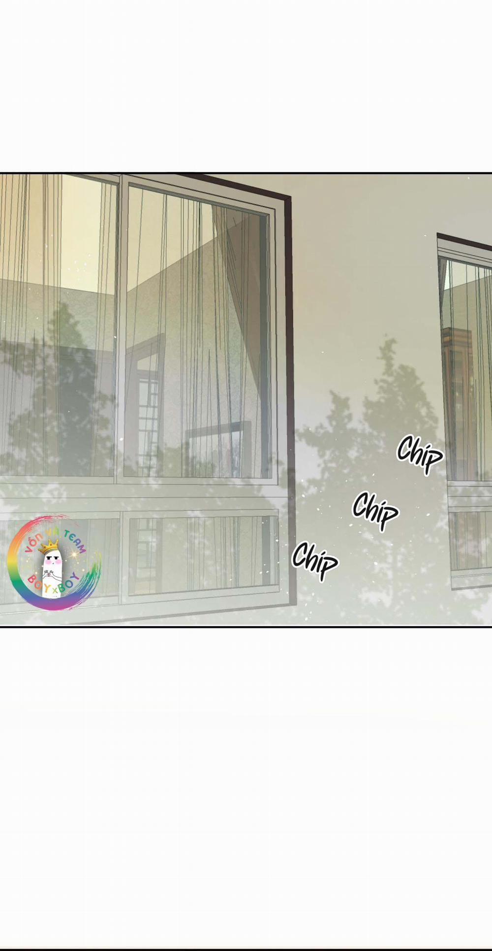 Không Tỳ Vết 5 trang 1