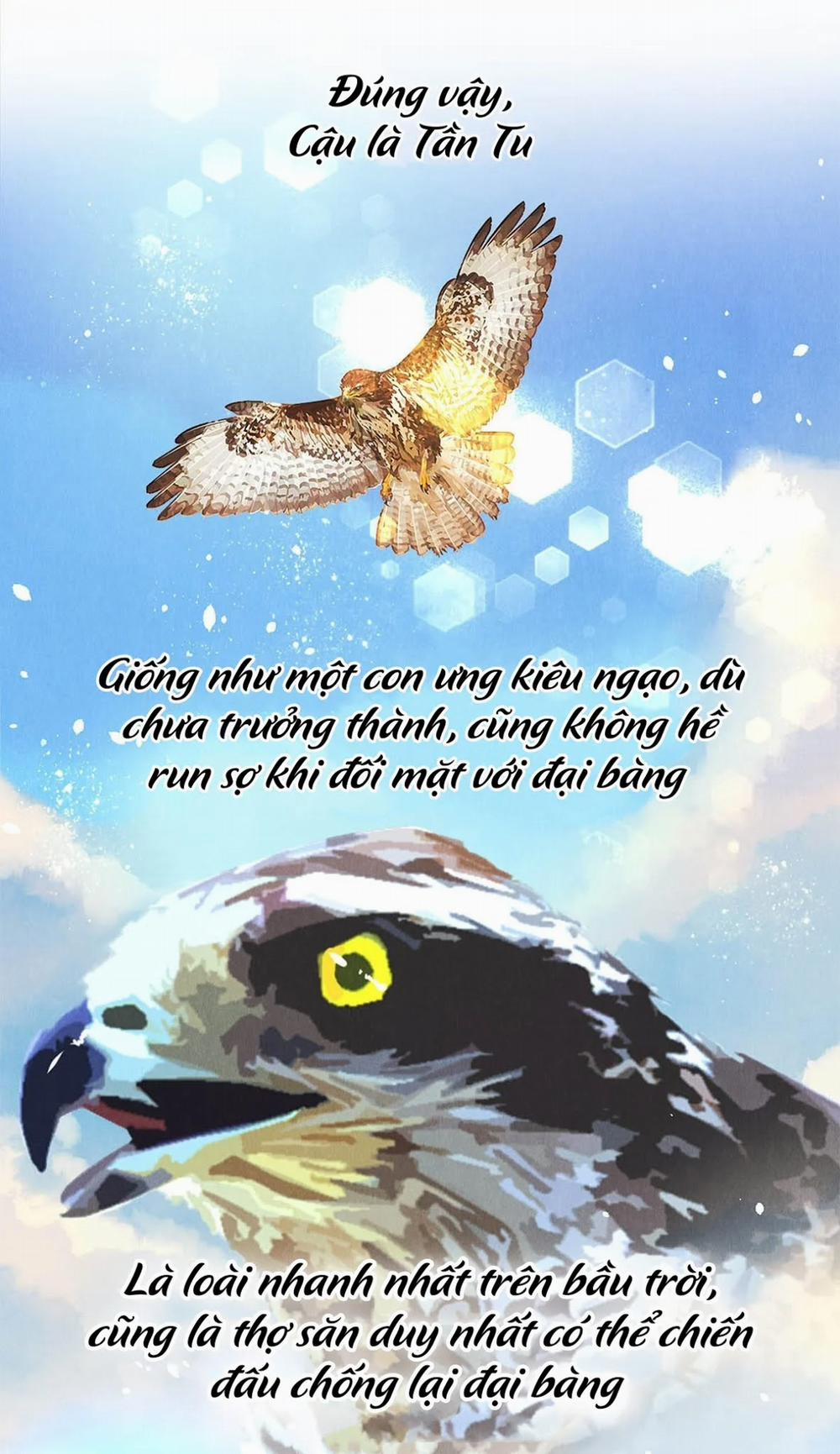 Khu Chung Cư Của Các Ảnh Đế 20 trang 15