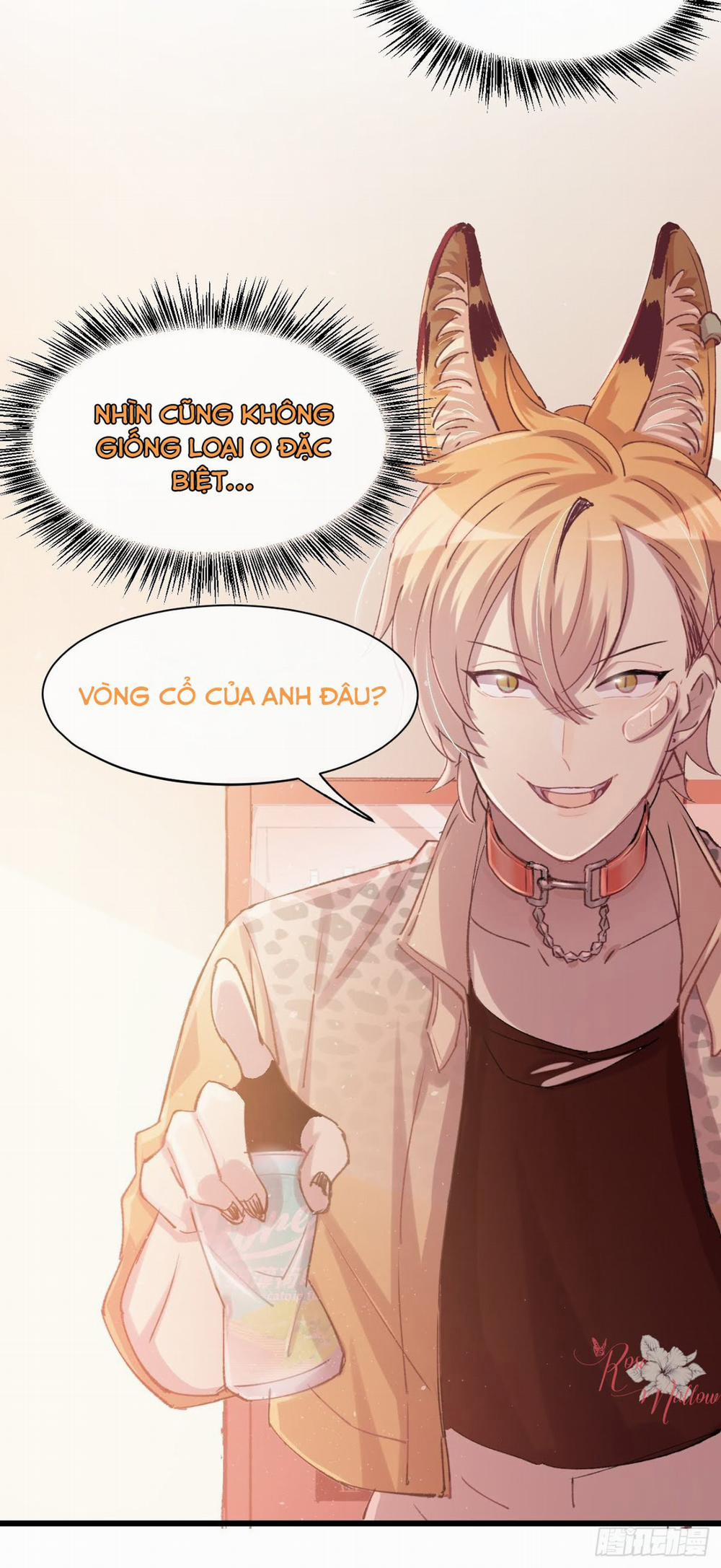 Khu Chung Cư Của Các Ảnh Đế 38 trang 5