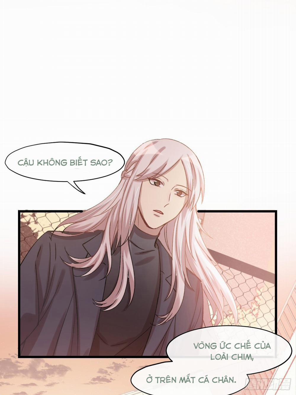 Khu Chung Cư Của Các Ảnh Đế 38 trang 6