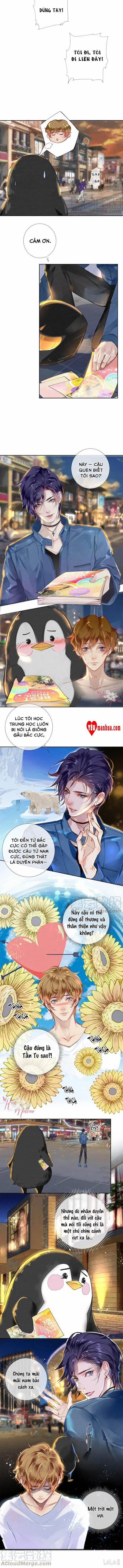 Khu Chung Cư Của Các Ảnh Đế 39 trang 3