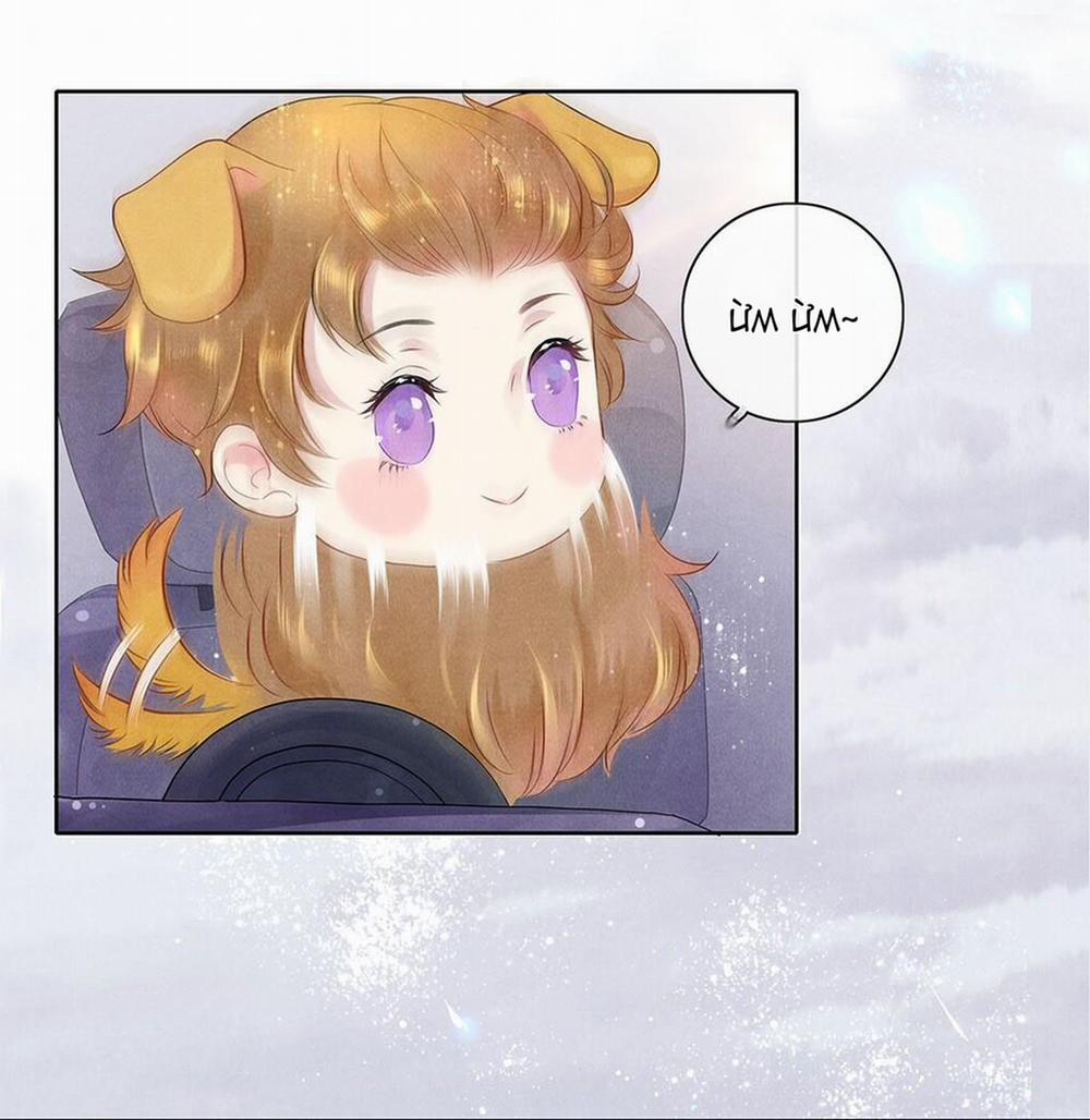 Khu Chung Cư Của Các Ảnh Đế 4 trang 11