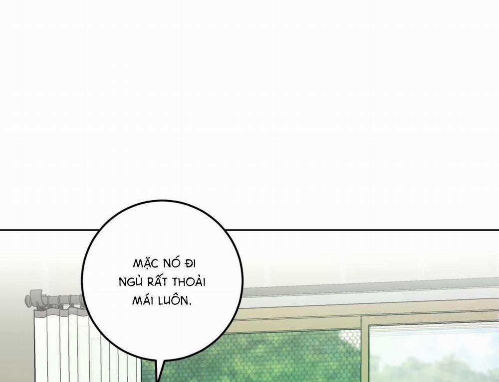 Khu Rừng Tĩnh Lặng 2 trang 105