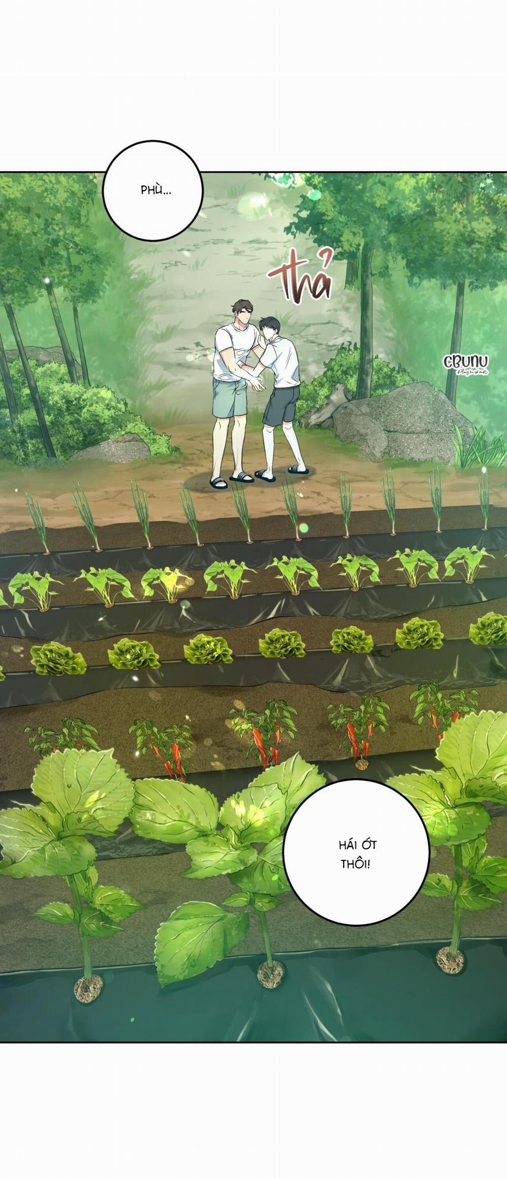 Khu Rừng Tĩnh Lặng 3 trang 26