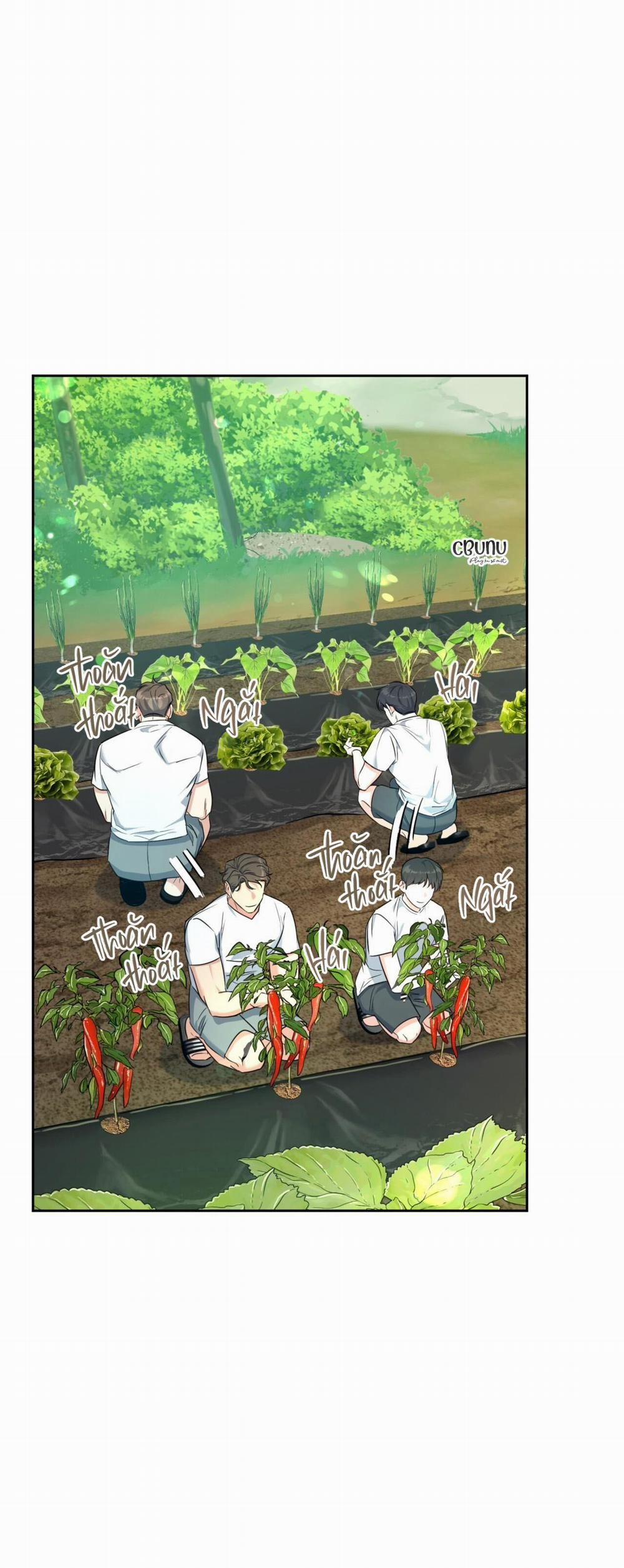 Khu Rừng Tĩnh Lặng 3 trang 31