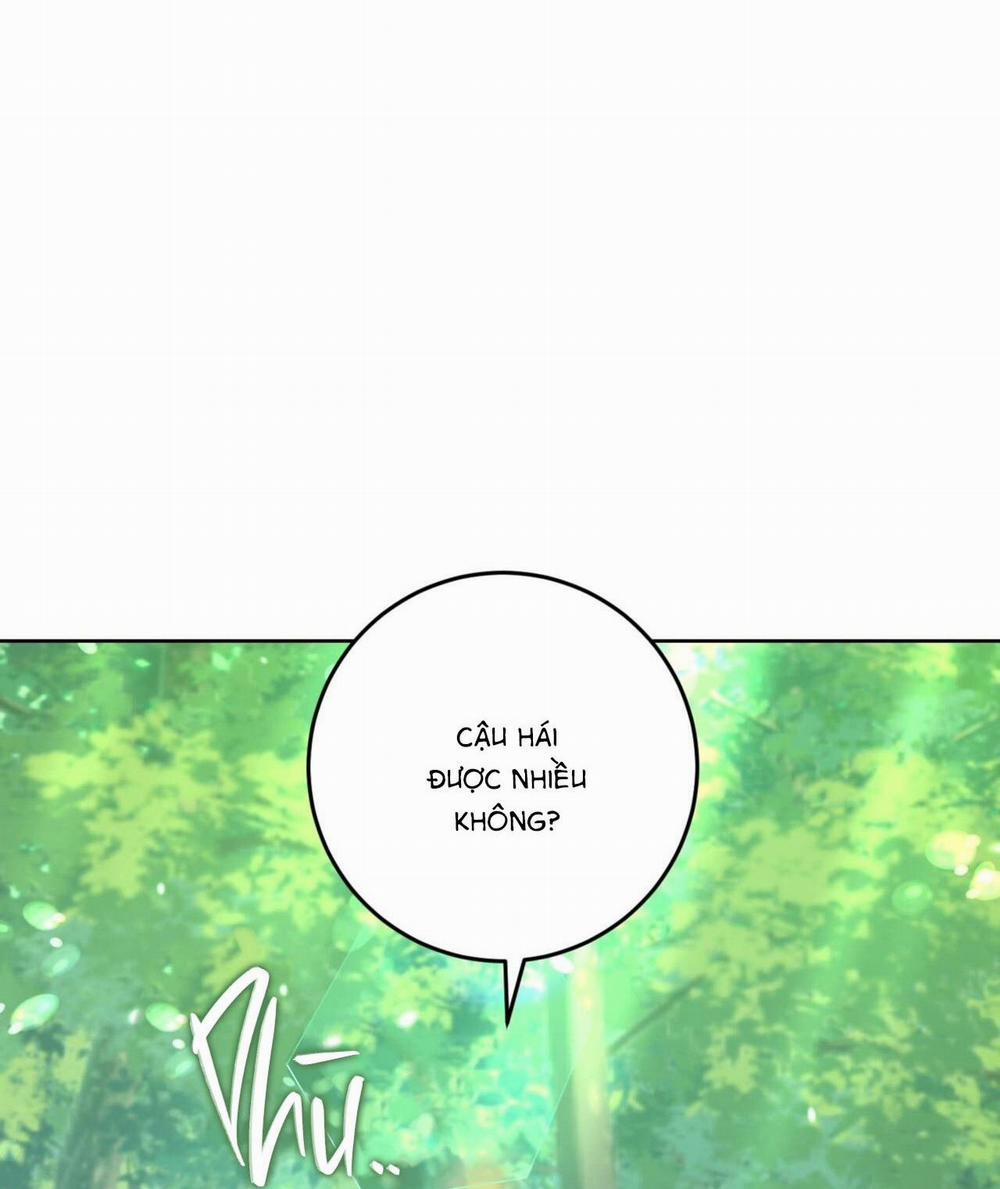 Khu Rừng Tĩnh Lặng 3 trang 32