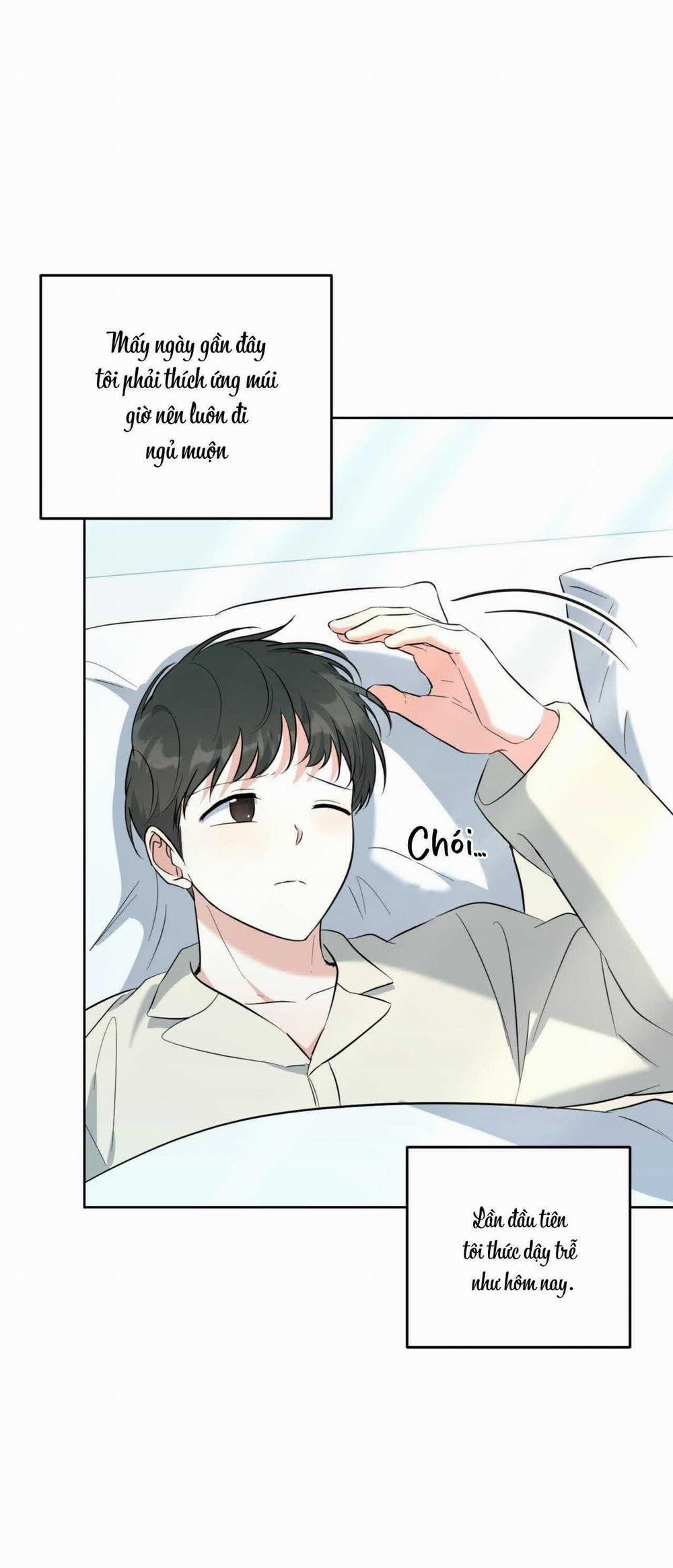 Khu Rừng Tĩnh Lặng 46 trang 1