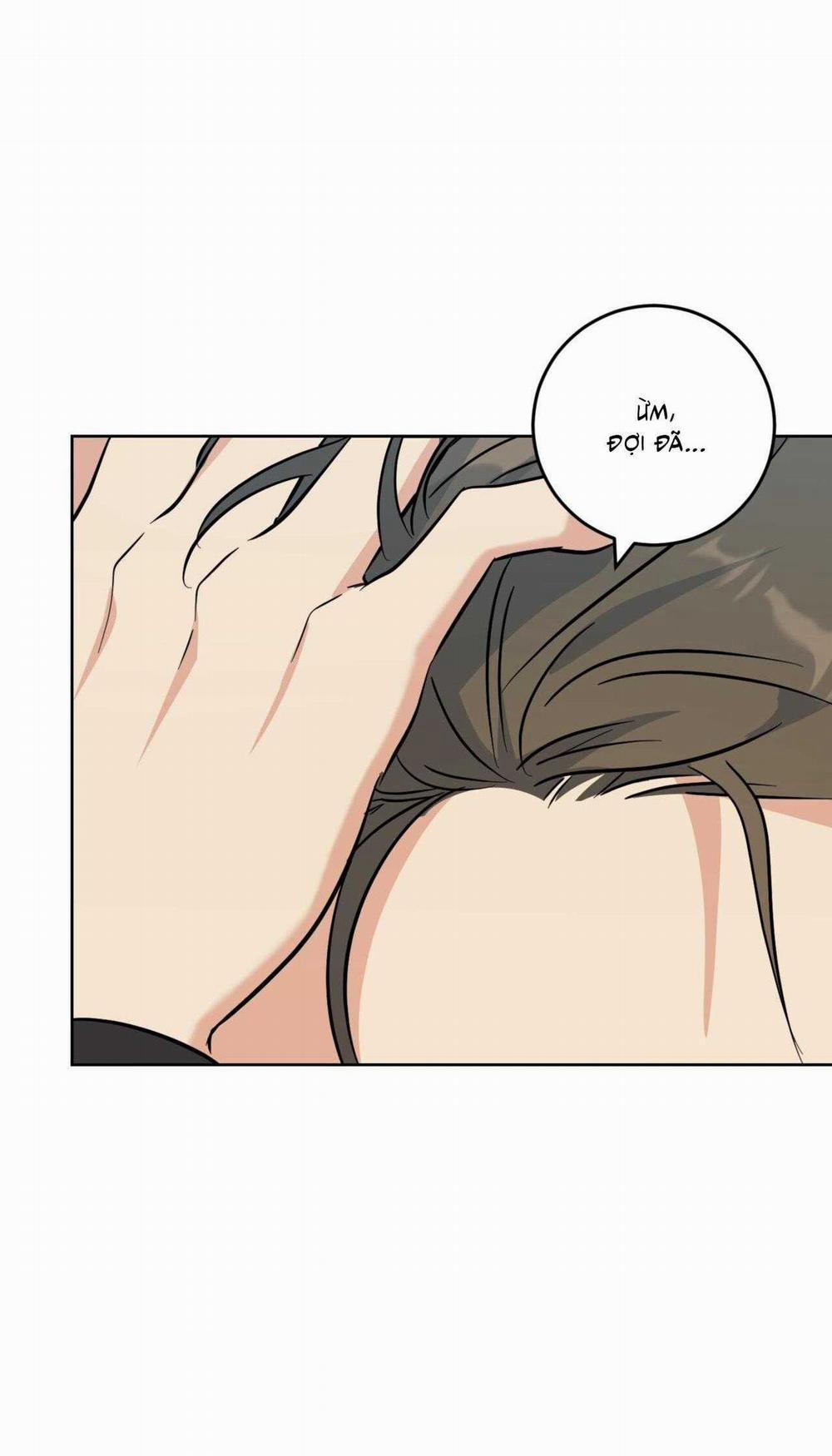 Khu Rừng Tĩnh Lặng 49 trang 20