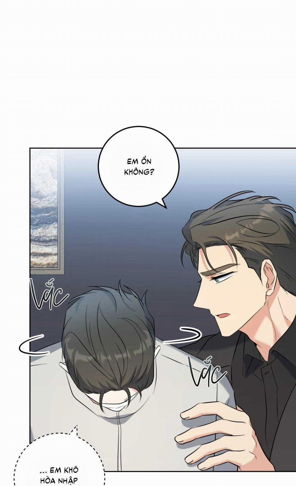 Khu Rừng Tĩnh Lặng 50 trang 19