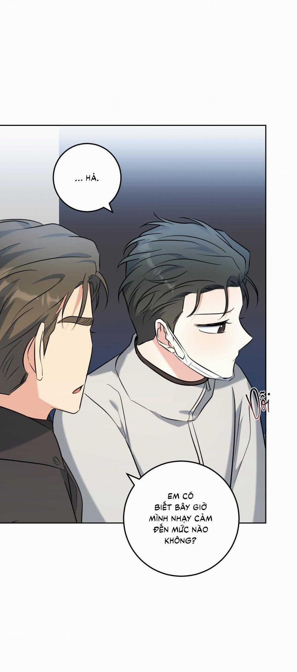 Khu Rừng Tĩnh Lặng 50 trang 25