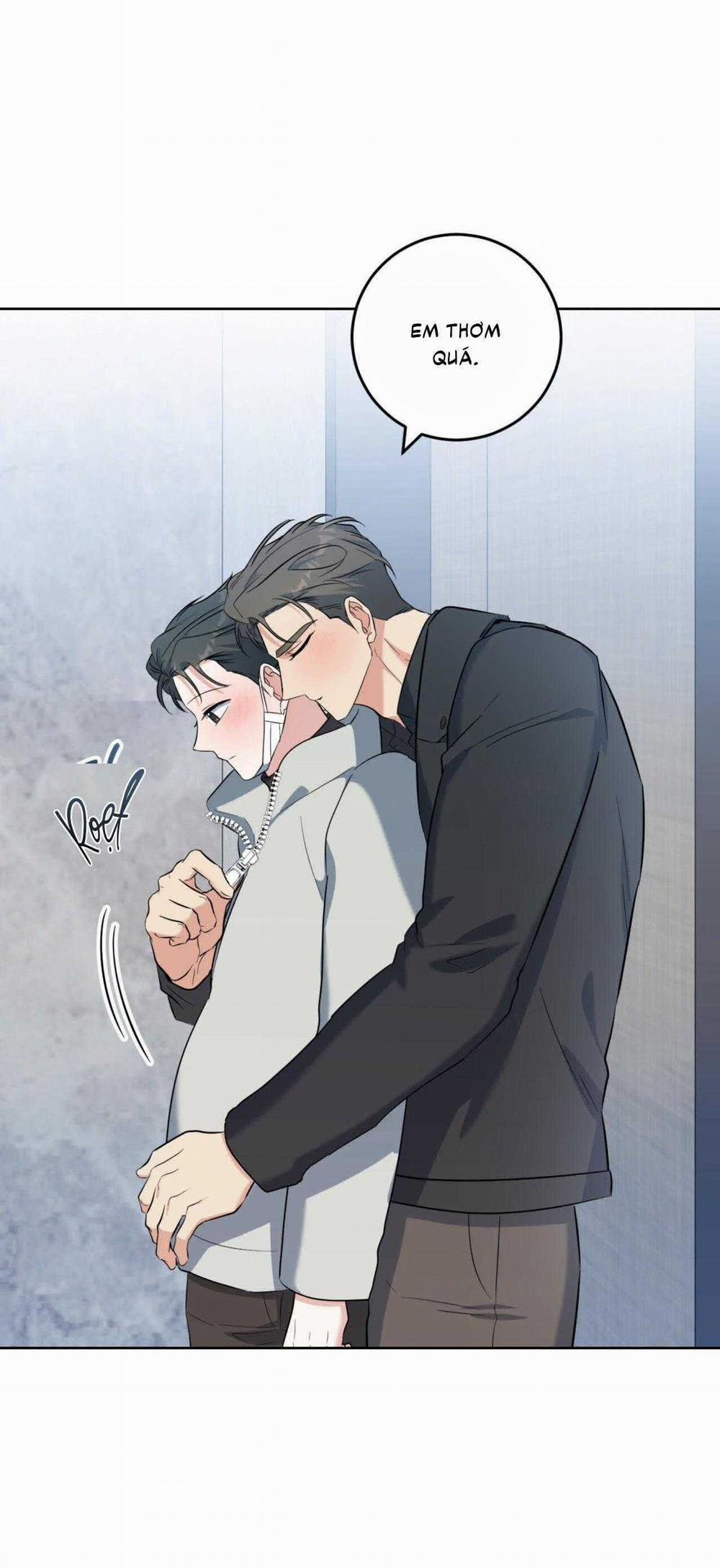 Khu Rừng Tĩnh Lặng 50 trang 39