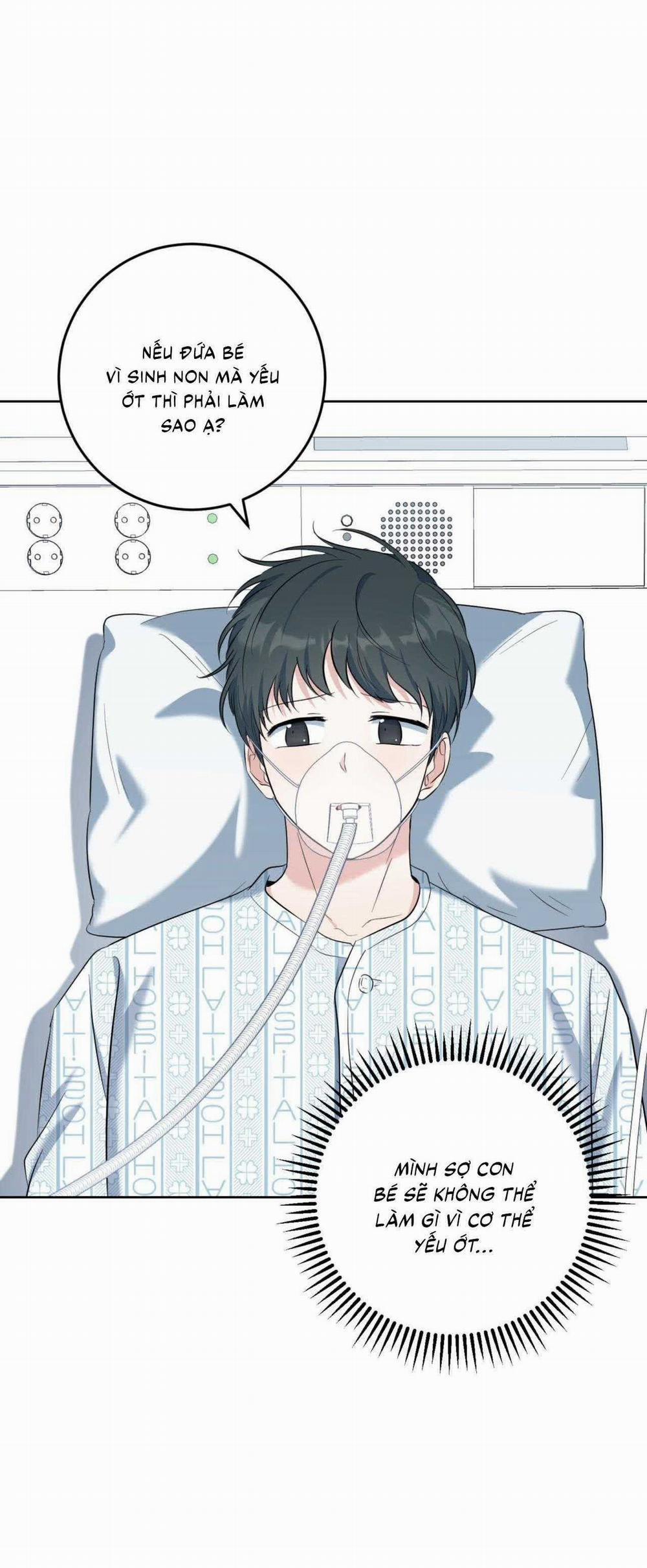 Khu Rừng Tĩnh Lặng 55 trang 11