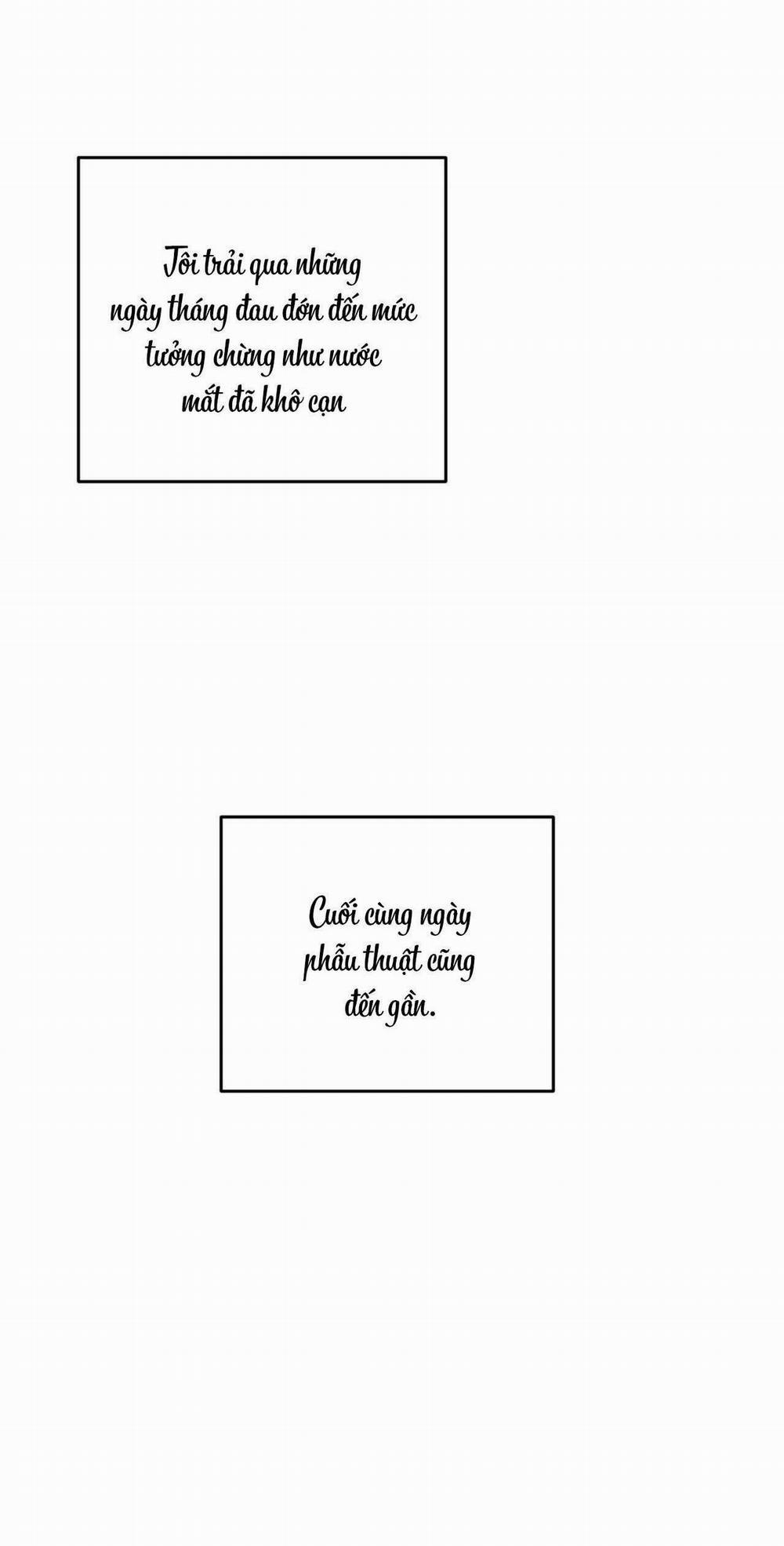 Khu Rừng Tĩnh Lặng 55 trang 17