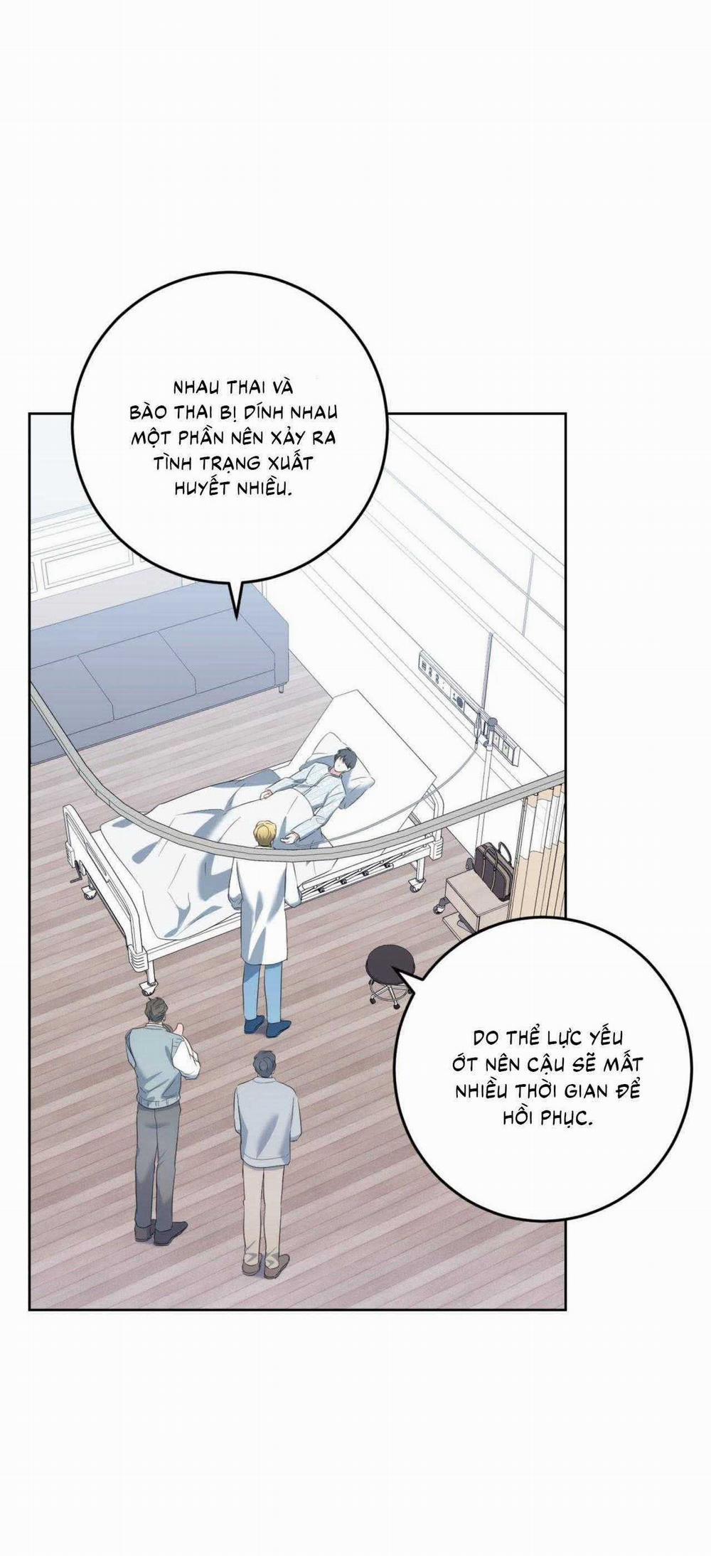 Khu Rừng Tĩnh Lặng 56 trang 1