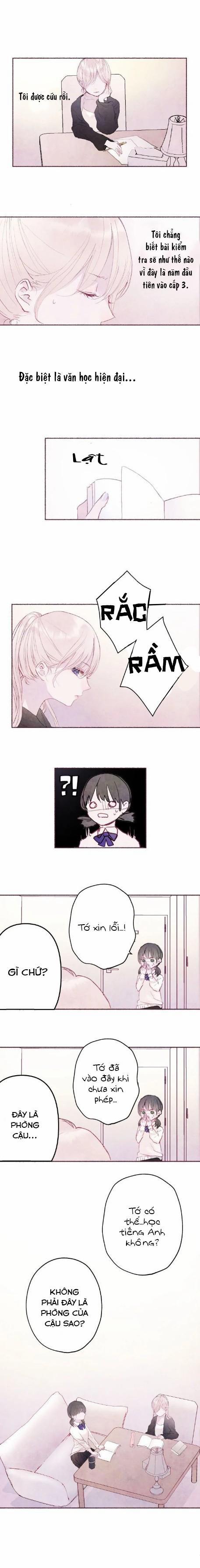 Khu Vườn Bí Mật 11 trang 4