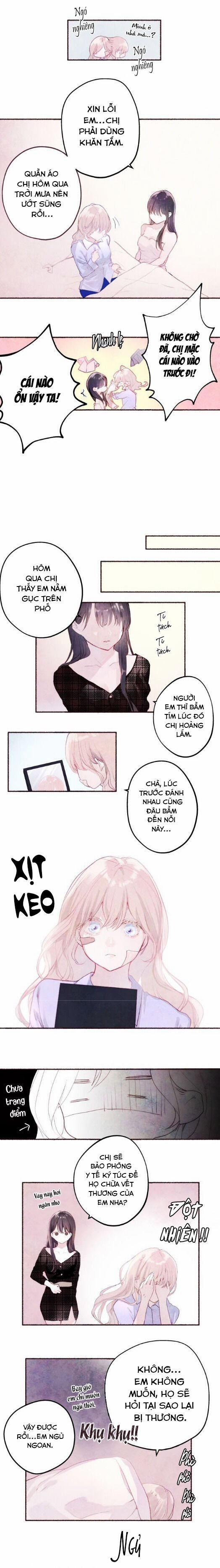 Khu Vườn Bí Mật 19 trang 1