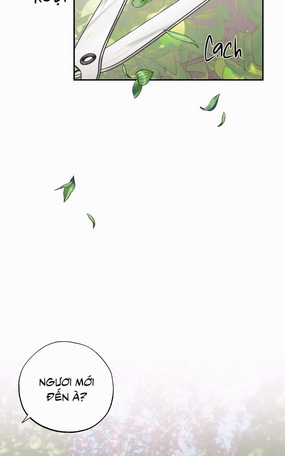 Khu Vườn Của Esther 0 trang 12