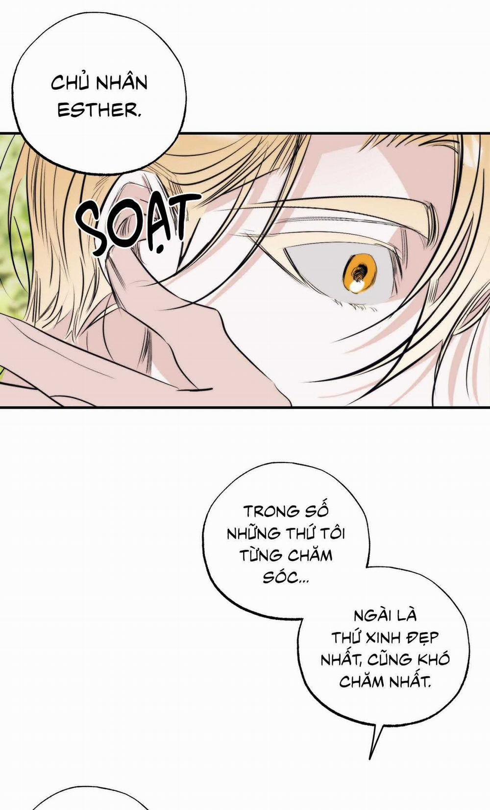 Khu Vườn Của Esther 6 trang 17