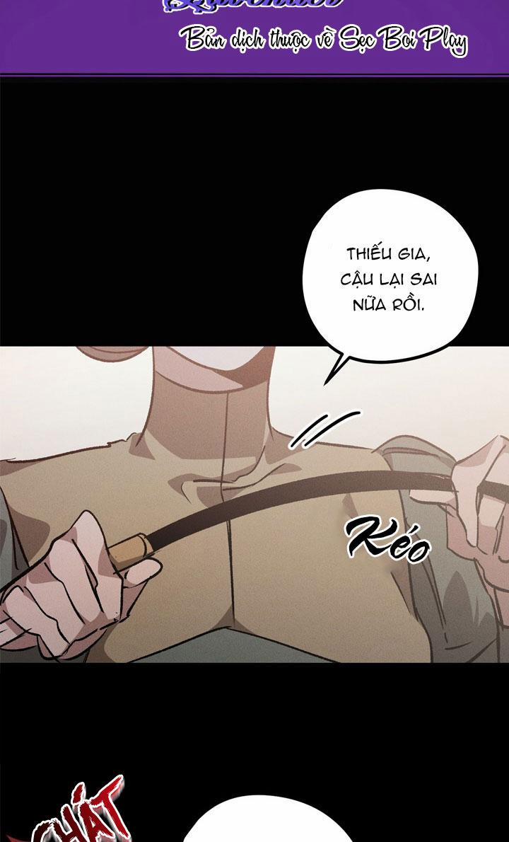 Khu Vườn Hoa Lavender 0 trang 1