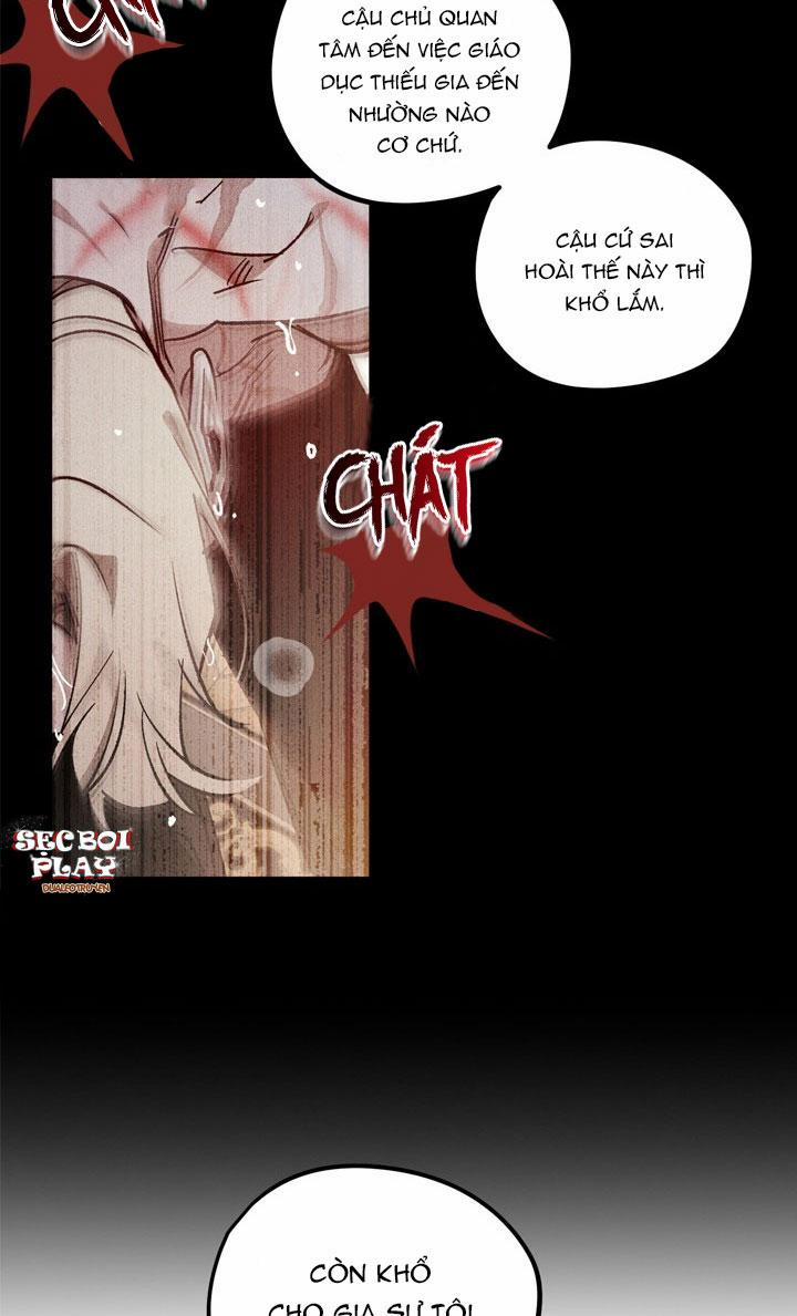 Khu Vườn Hoa Lavender 0 trang 2