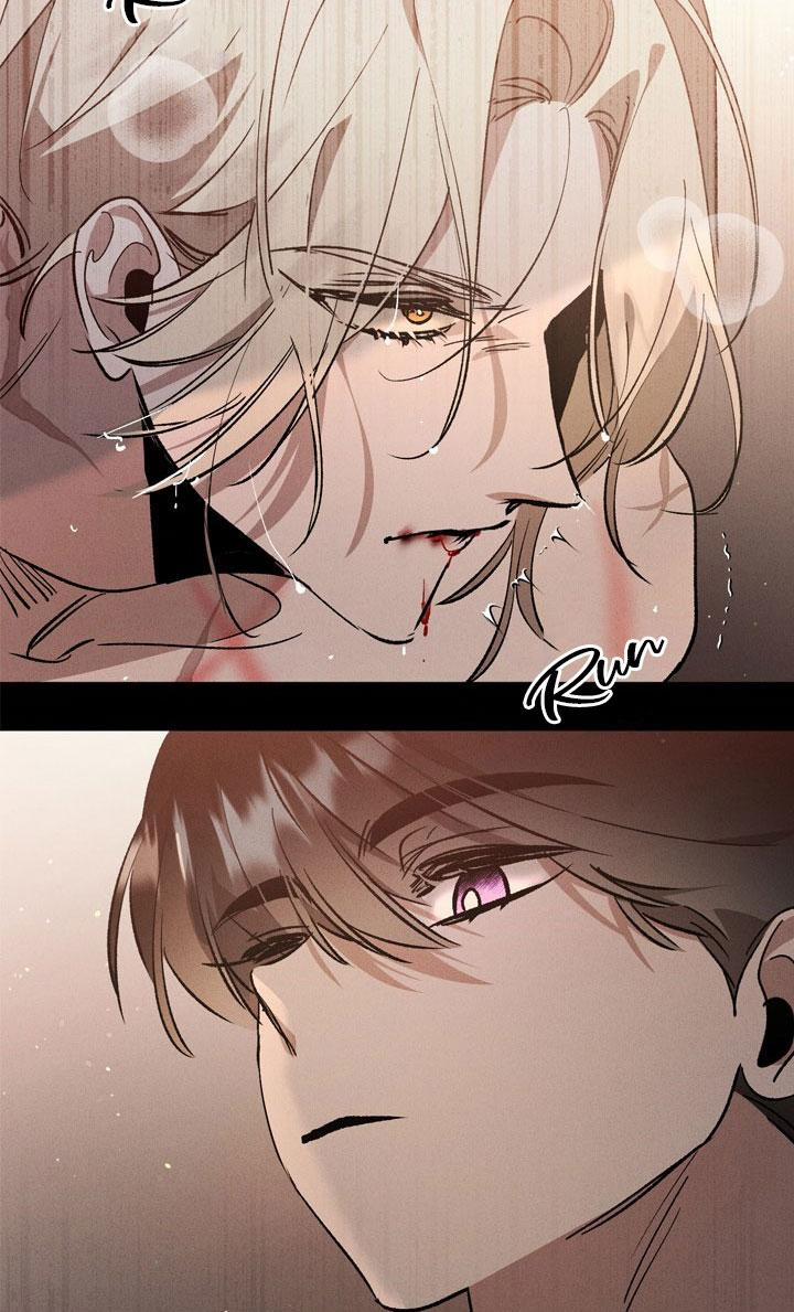 Khu Vườn Hoa Lavender 0 trang 4