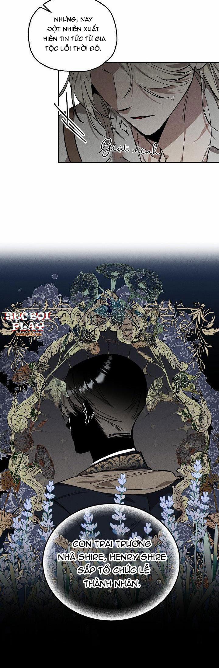 Khu Vườn Hoa Lavender 1 trang 11