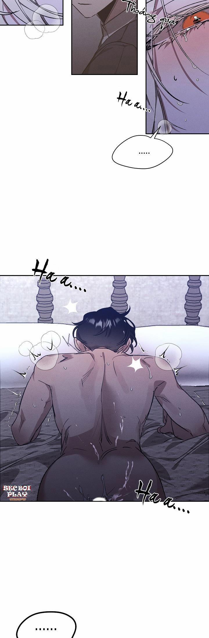 Khu Vườn Hoa Lavender 1 trang 4