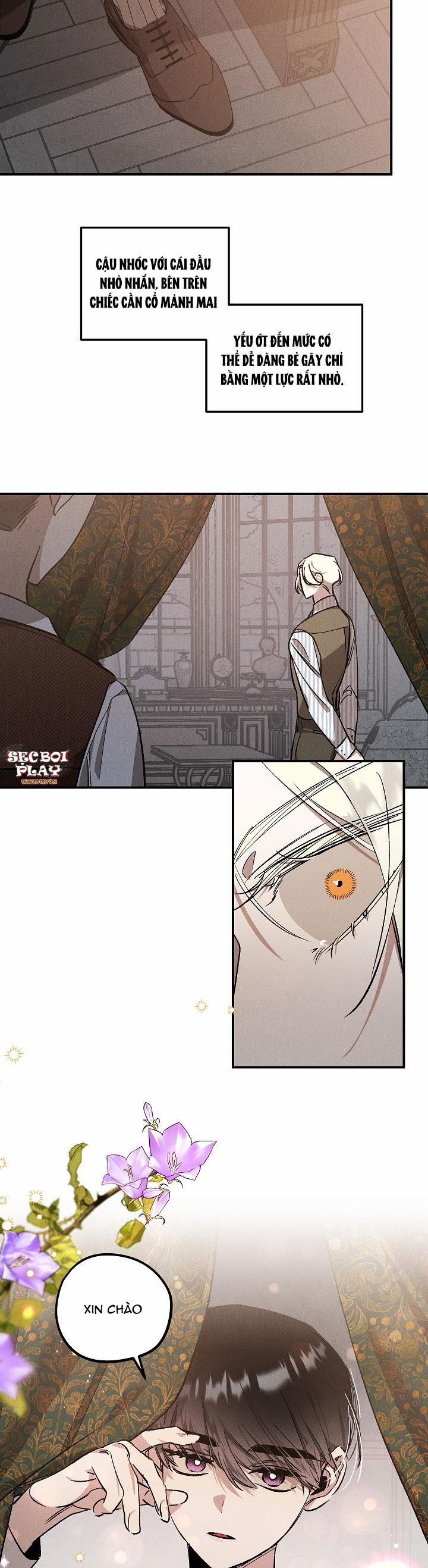 Khu Vườn Hoa Lavender 2 trang 14