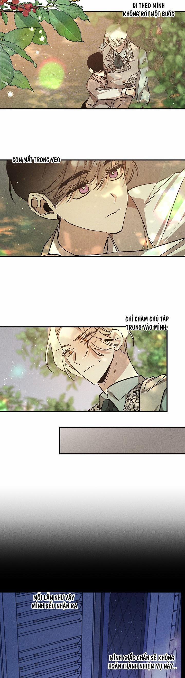 Khu Vườn Hoa Lavender 2 trang 16