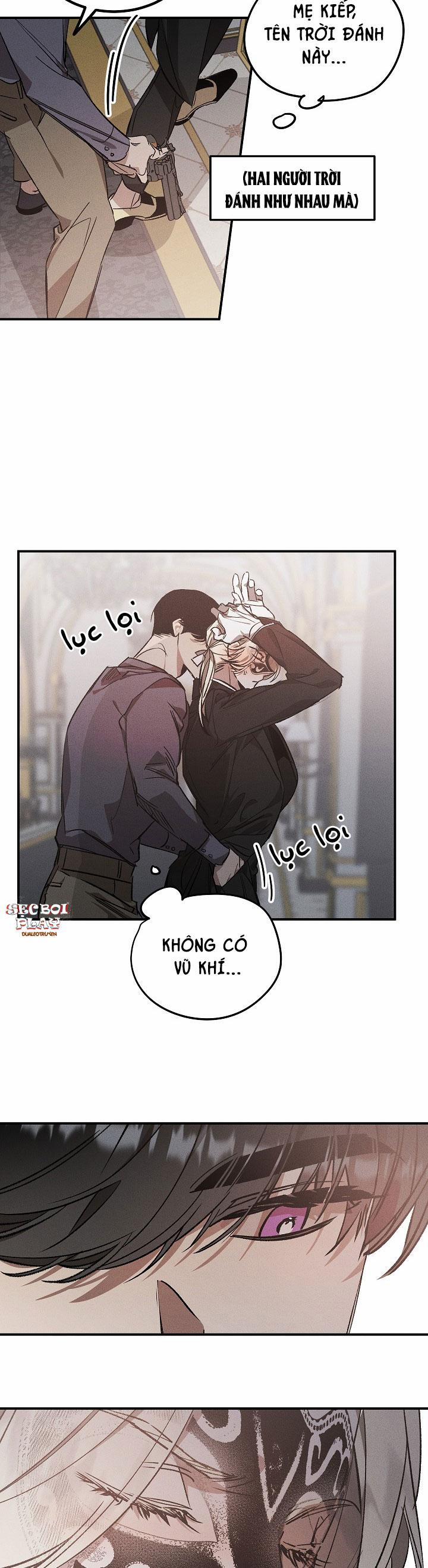 Khu Vườn Hoa Lavender 2 trang 4