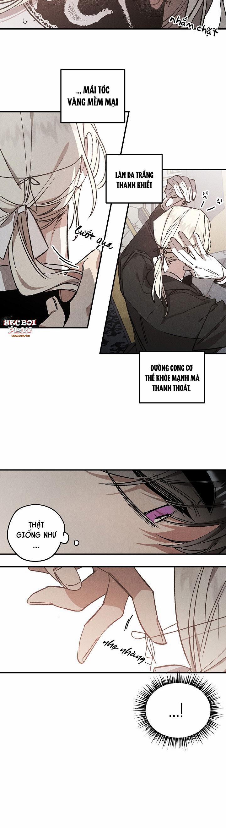 Khu Vườn Hoa Lavender 2 trang 5