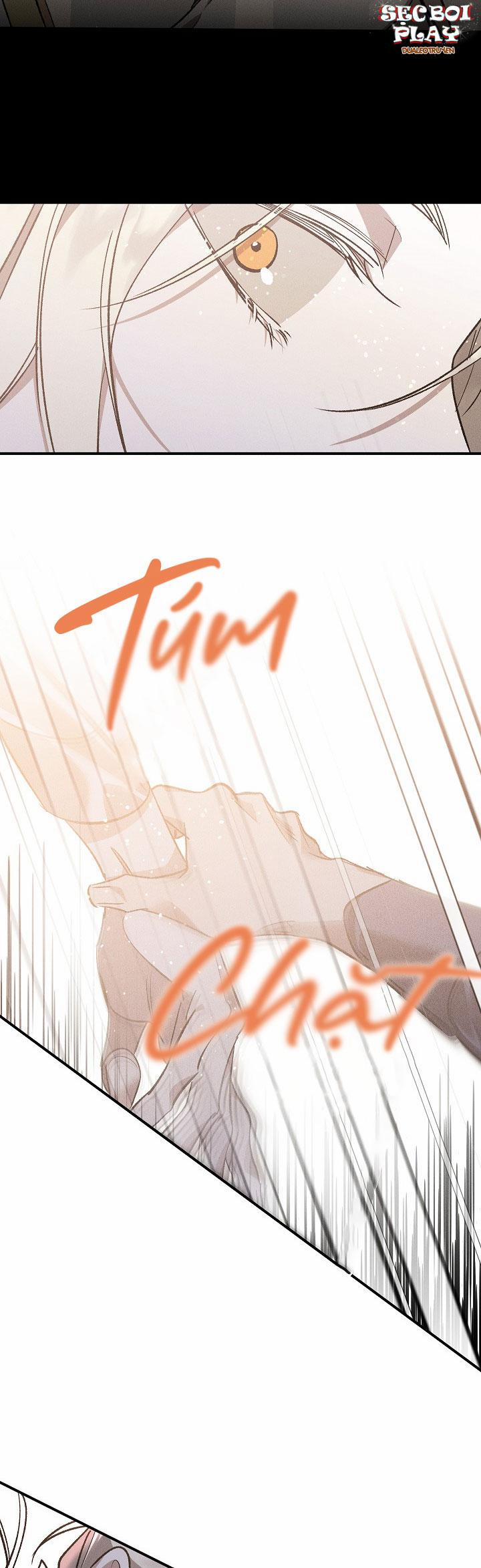 Khu Vườn Hoa Lavender 3 trang 26