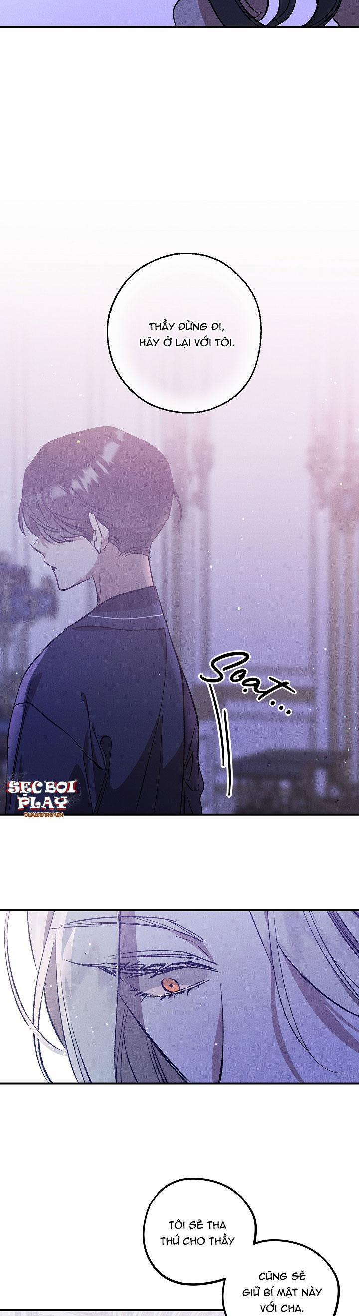 Khu Vườn Hoa Lavender 3 trang 4